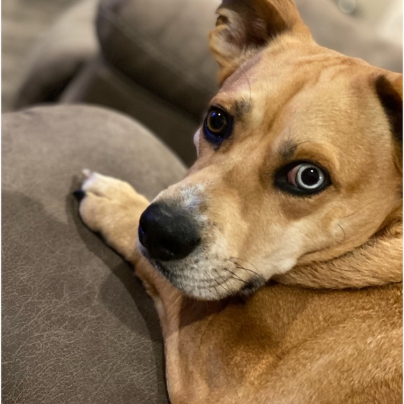 Meet your Posher, Michelle - Picture 6 of 10